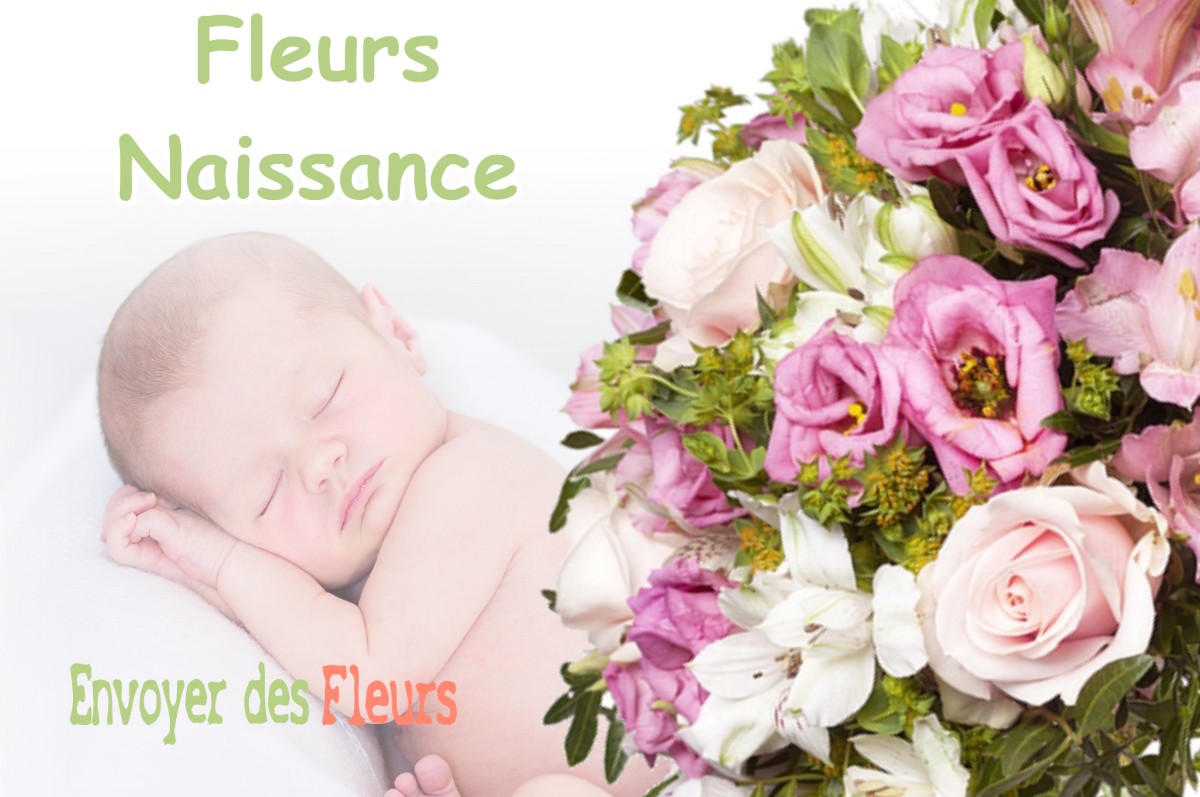 lIVRAISON FLEURS NAISSANCE à RUEIL-MALMAISON